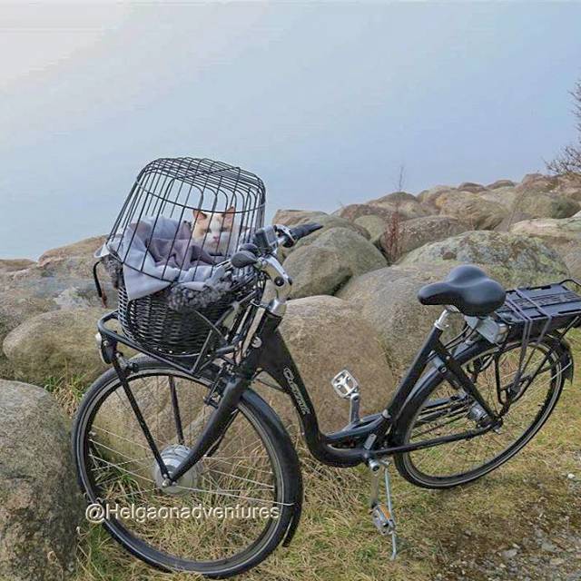 cat basket for bike